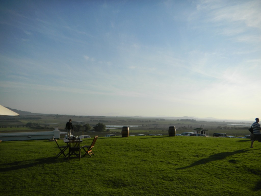 DSCN1935