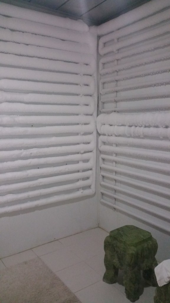 Cool off between the heated rooms in this ice room.