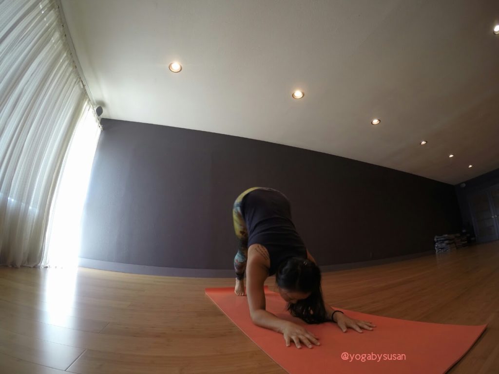 Dolphin Prep yogabysusan pincha